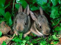 /album/beyza/images-4-kopya-jpg/